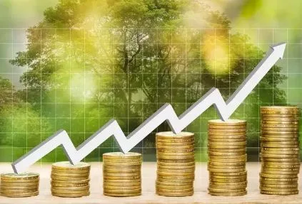 Investment advisory consultancy