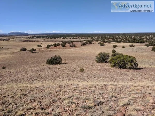 0.43 Acres for Sale in Concho AZ