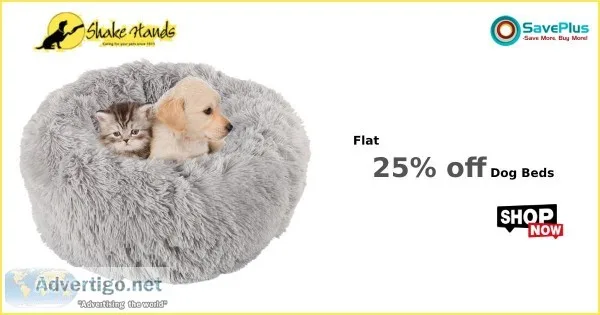 Flat 25% off Dog Beds