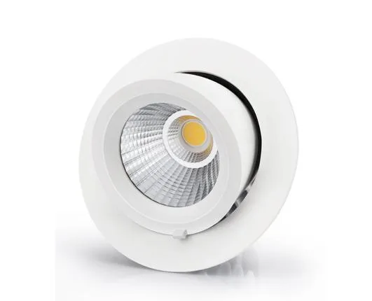 Celebrate Christmas with Magik Lights