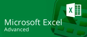 Best Advanced Excel Training Institute in Noida