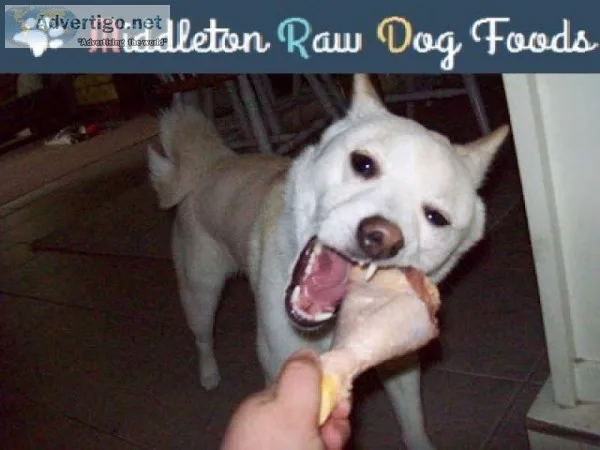 Dog Food Raw Chicken Necks