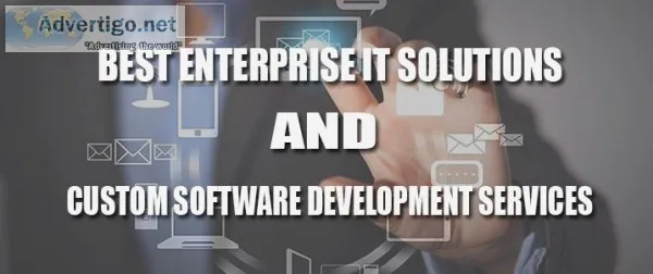 Enterprise Software Development Services in USA