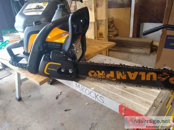 Chain Saw 20 inch