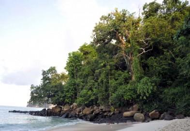 Searching for Andaman tour packages