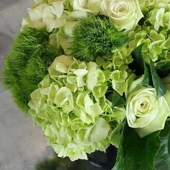 Paradise Valley Florist  White House Flowers
