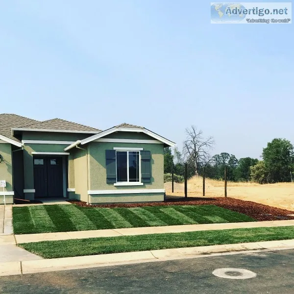 LandscapingYard careClean-ups