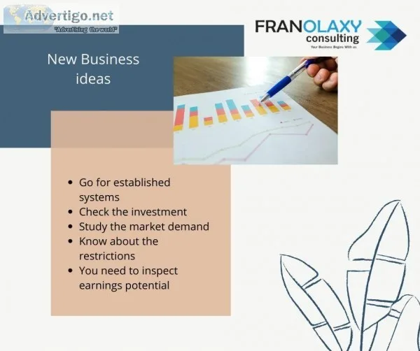 New Business Ideas by Opting Franchise Business