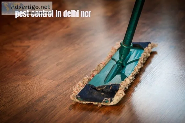 pest control in delhi ncr -Sparsh India Chemical Company