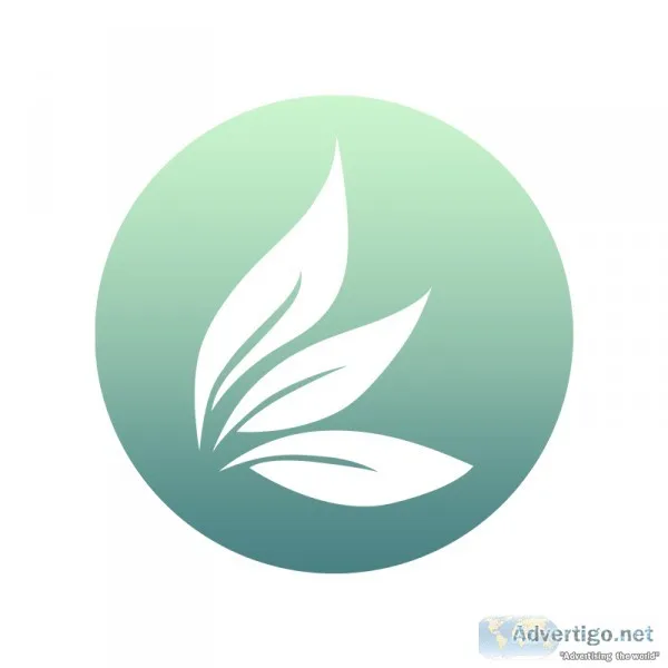 Most Potent CBD Products