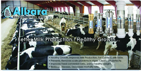 Automatic Water Softener for Dairy Farms in Kakinada