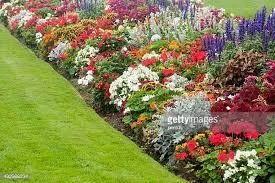 Landscape planning Houston