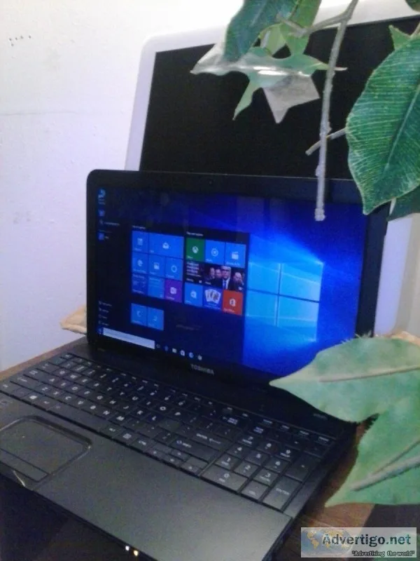 15&quottoshiba 500gb hd. 8gb.memory web.cam with win.10 and 7 dw