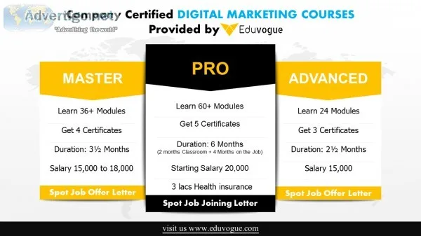 Digital marketing course with job 