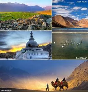 Tour & travels