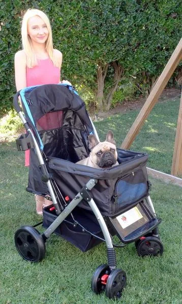 Purchase Spacious And Comfortable Puppy Stroller At Per Rover