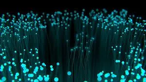 Are Looking for Submarine Cable Services Providers Who Can Help 