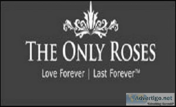 Buy Long Lasting Flowers