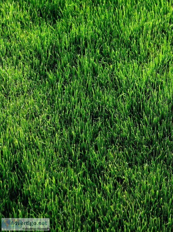 Land and Lawn Services