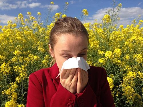 Get Rid Of Allergies Permanently