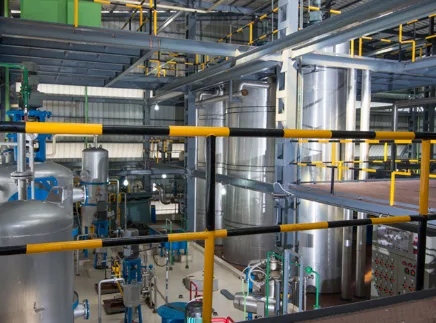 Best groundnut oil refining machine