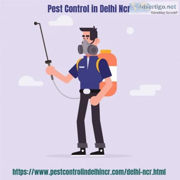 pest control in delhi ncr at affordable price