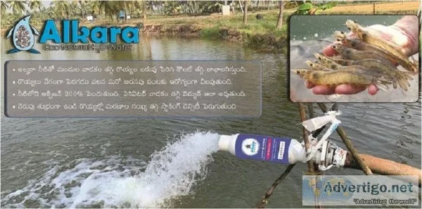 Natural Water Soft Conditioner for Aqua Hatcheries in Adilabad