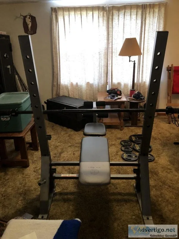GOLD S WEIGHT BENCH