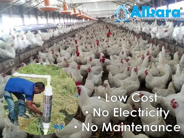 Automatic Water Softener System for Poultry farms