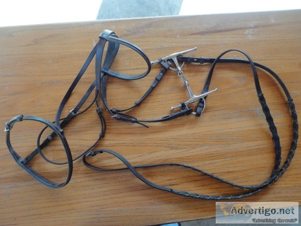 COURBETTE HORSE BRIDLE