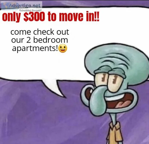300 moves you in come check these 2 bedroom apartments