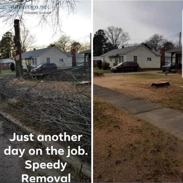 Tree Work Removal Services