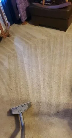 Professional carpet cleaning. truck mounted steam cleaning