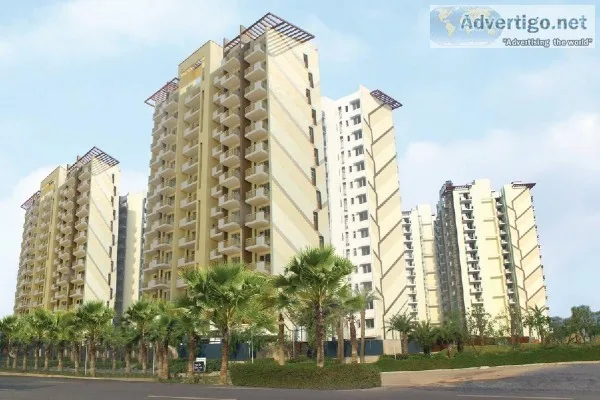 M3M Woodshire &ndash Luxury 3BHKSQ Flats On Dwarka Expressway