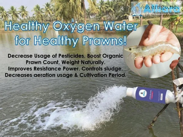 Eco Soft Water Conditioner For Aqua Hatcheries in Hyderabad