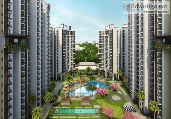 Attaractive Special Offers in Ace Divino 38.5 Lacs  8750-488-588