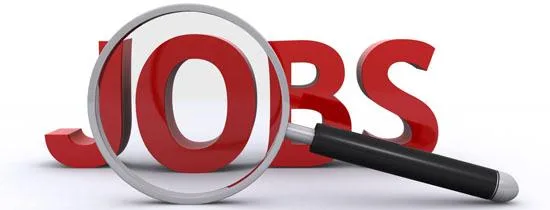 Incredible work opportunity to work according to your rules and 
