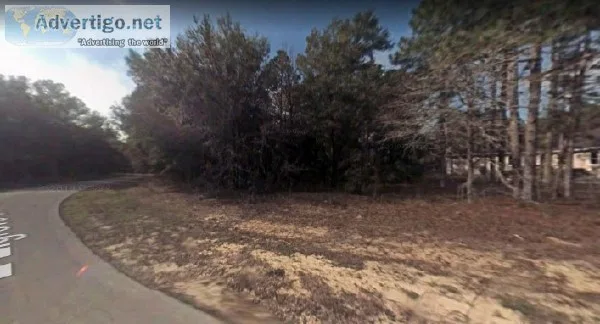 0.38 Acres for Sale in Citrus Springs FL