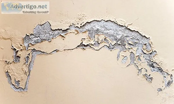 Wall seepage solution