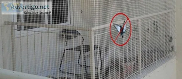 Pigeon Safety Nets in Hyderabad