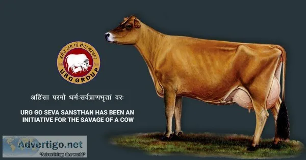 Umeshraj Group Of Companygo seva Sansthan