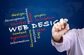 Website Designing Company in Amroha