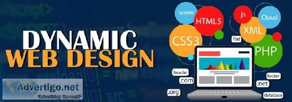 SEO Company in Chandigarh