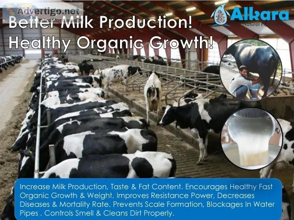 Eco Soft Water Conditioner for Dairy Farms