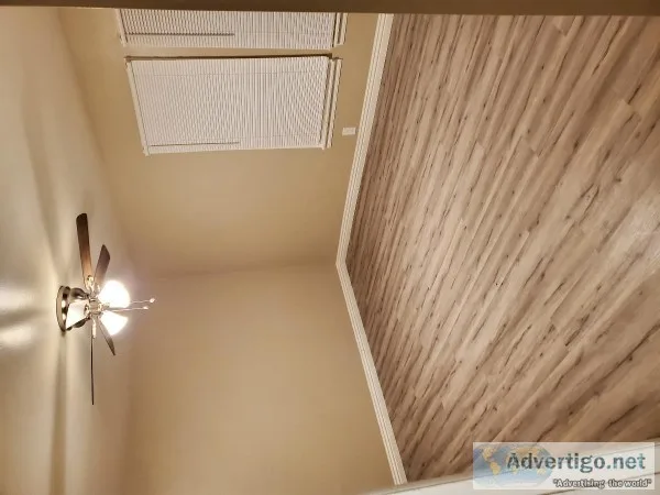 Room 4 Rent