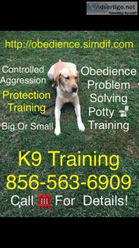 Your dog train to respond to you
