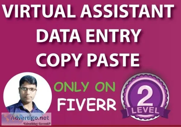 Virtual Assistant Expert