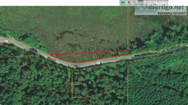 0.65 Acres for Sale in White Pass WA
