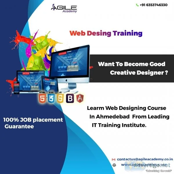 Are you willing to pursue your career in the field of web design