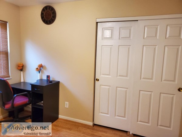 Single room for rent